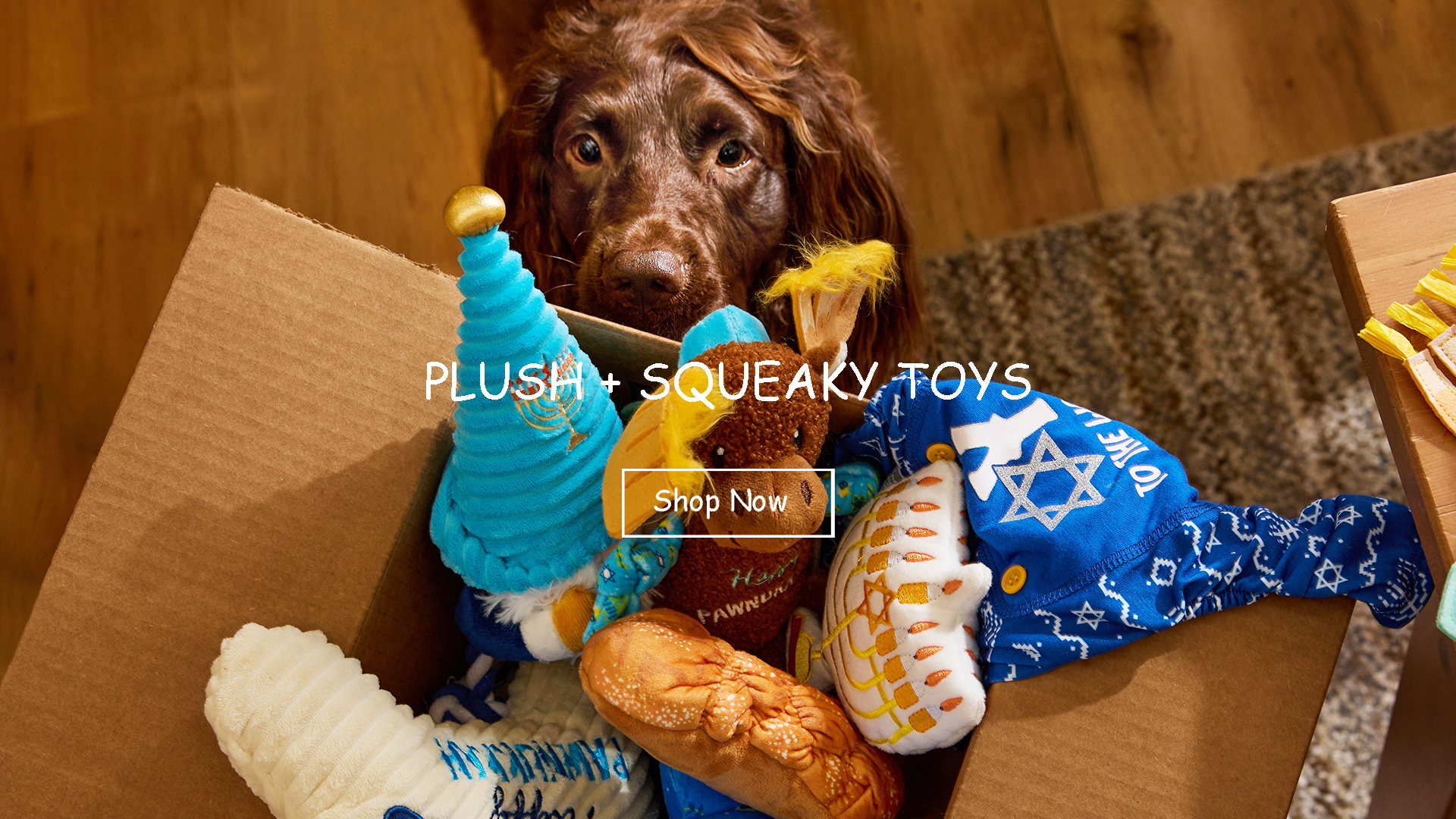 PLUSH + SQUEAKY TOYS