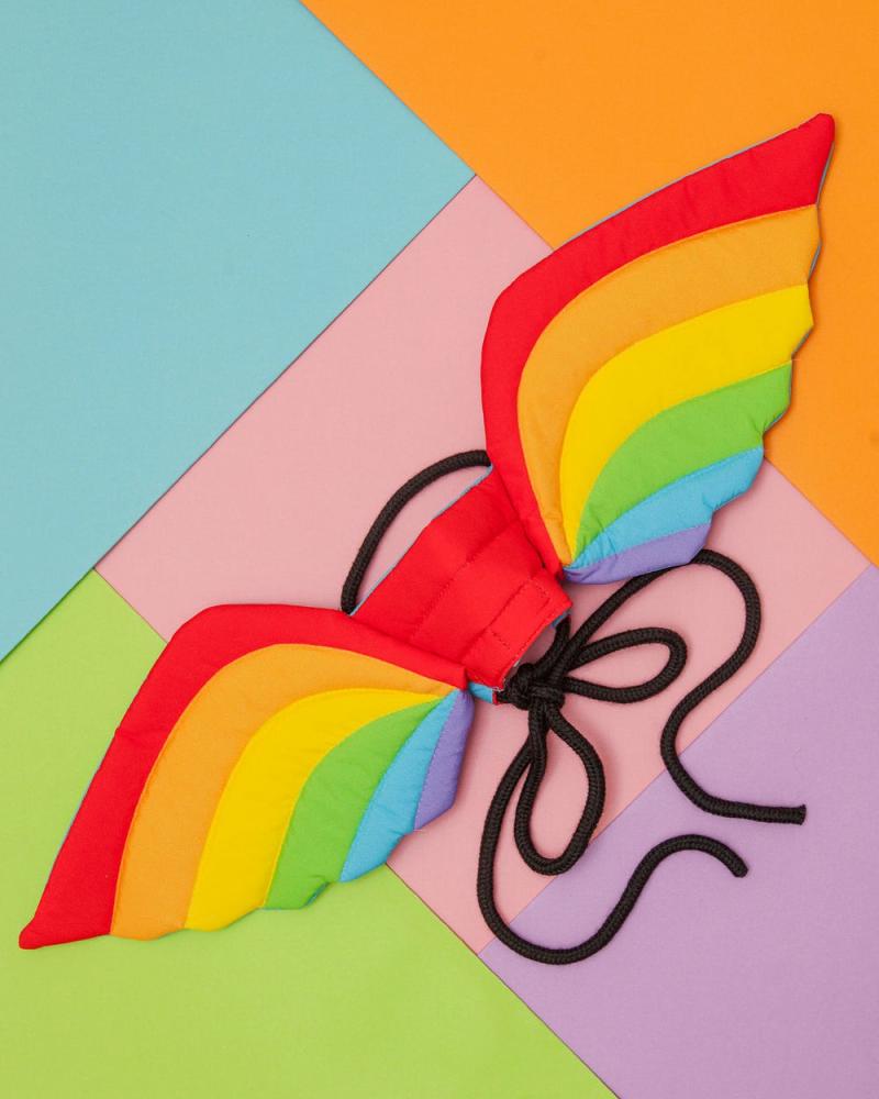 Accessories |   Adjustable Tie-On Rainbow Dog Wings Accessories Accessories