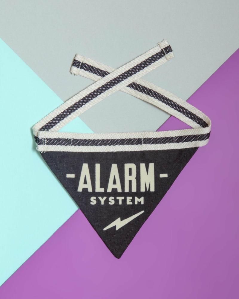 Accessories |   Alarm System Pet Bandana Accessories Accessories