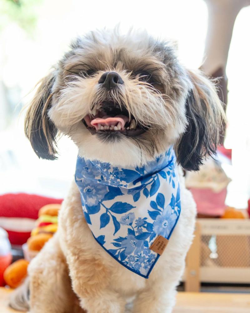 Accessories |   Blue Roses Spring Dog Bandana (Made In The Usa) Accessories Accessories