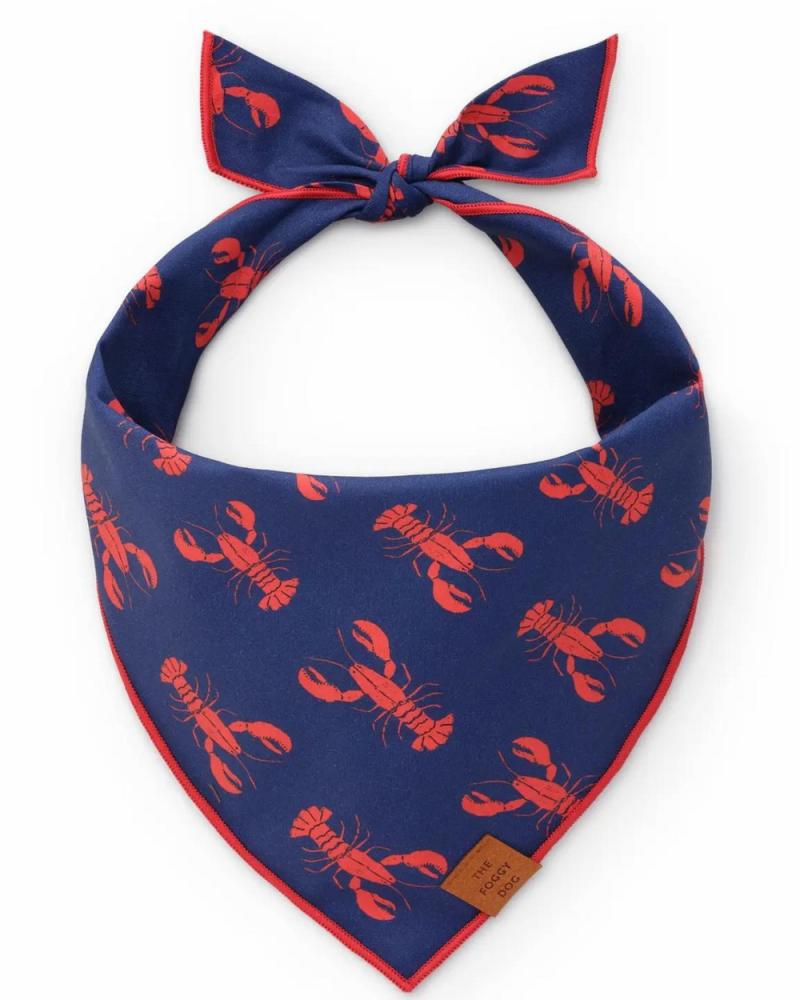 Accessories |   Catch Of The Day Navy Dog Bandana (Made In The Usa) Accessories Accessories