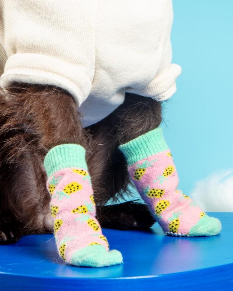 Accessories |   Non-Skid Dog Socks In Pineapple Accessories Accessories