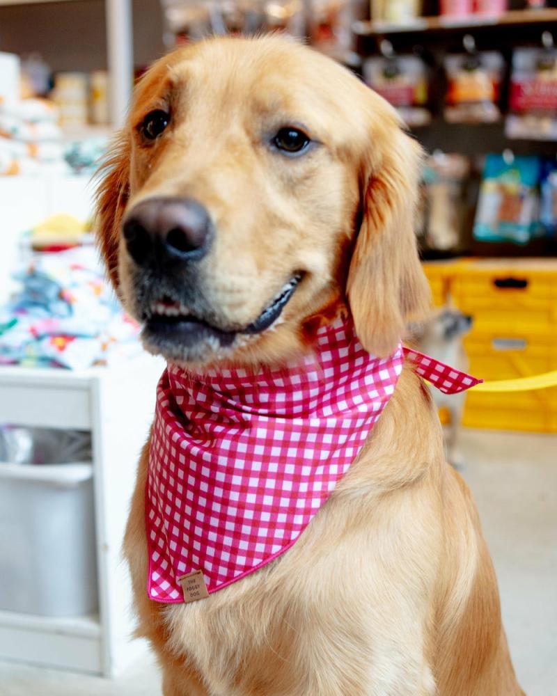 Accessories |   Raspberry Gingham Dog Bandana (Made In The Usa) Accessories Accessories