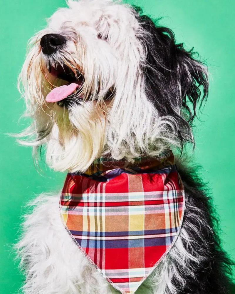 Accessories |   Reversible Plaid Dog Bandana (Made In The Usa) Accessories Accessories