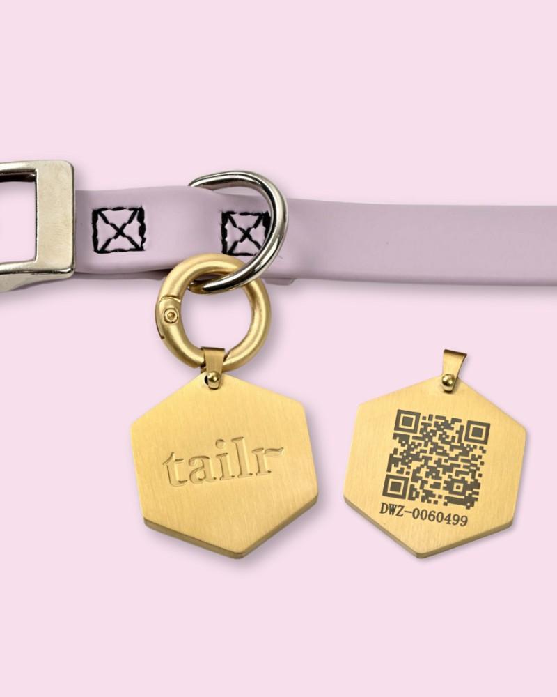 Accessories |   Tailr Qr Id Tag For Pets (Classic Hanging Tag) Accessories Accessories