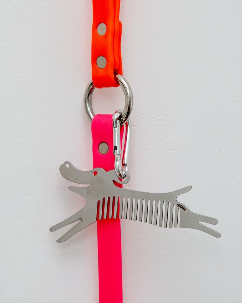 Add-Ons |   Dog Tick Comb Tool W/ Keychain Attachment Add-Ons Add-Ons