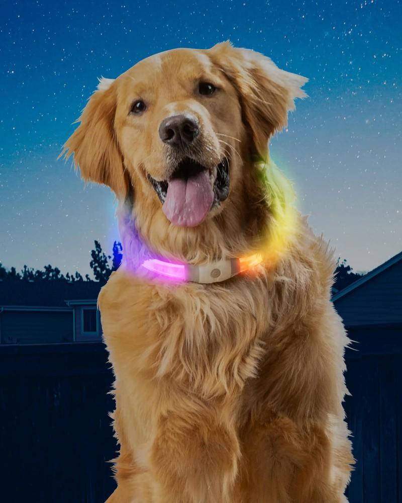 Add-Ons |   Nitehowl® Max Rechargeable Led Safety Dog Necklace Add-Ons Add-Ons