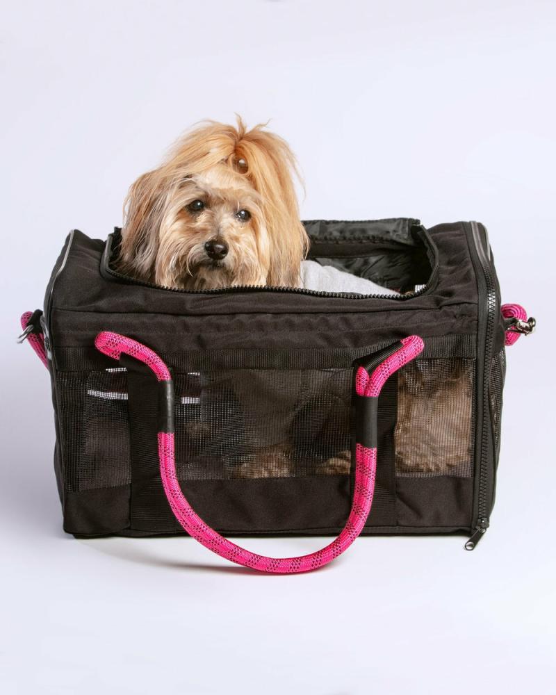 Bags + Carriers |   Out-Of-Office Dog Carrier In Black With Magenta Straps (Direct-Ship) Bags + Carriers Bags + Carriers