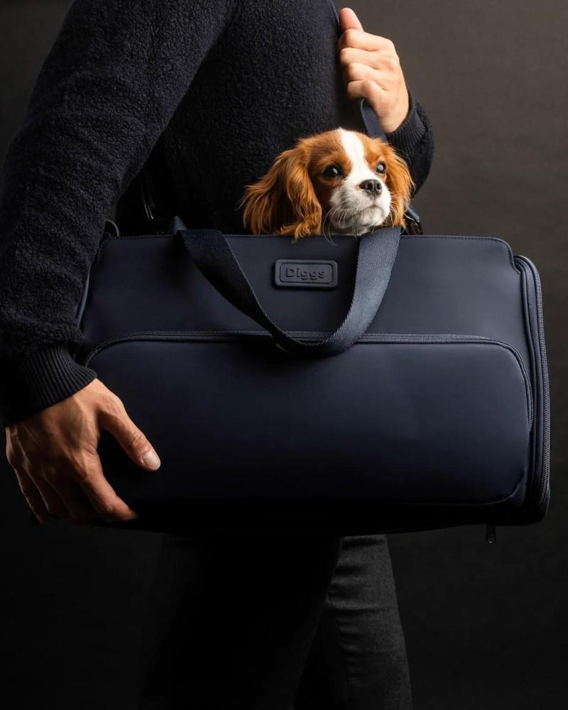 Bags + Carriers |   Passenger Travel Pet Carrier (Airline-Friendly) Bags + Carriers Bags + Carriers