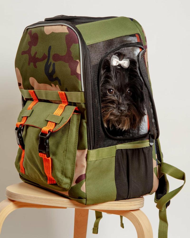 Bags + Carriers |   Ready-For-Adventure Pet Backpack (Airline Compliant) Bags + Carriers Bags + Carriers