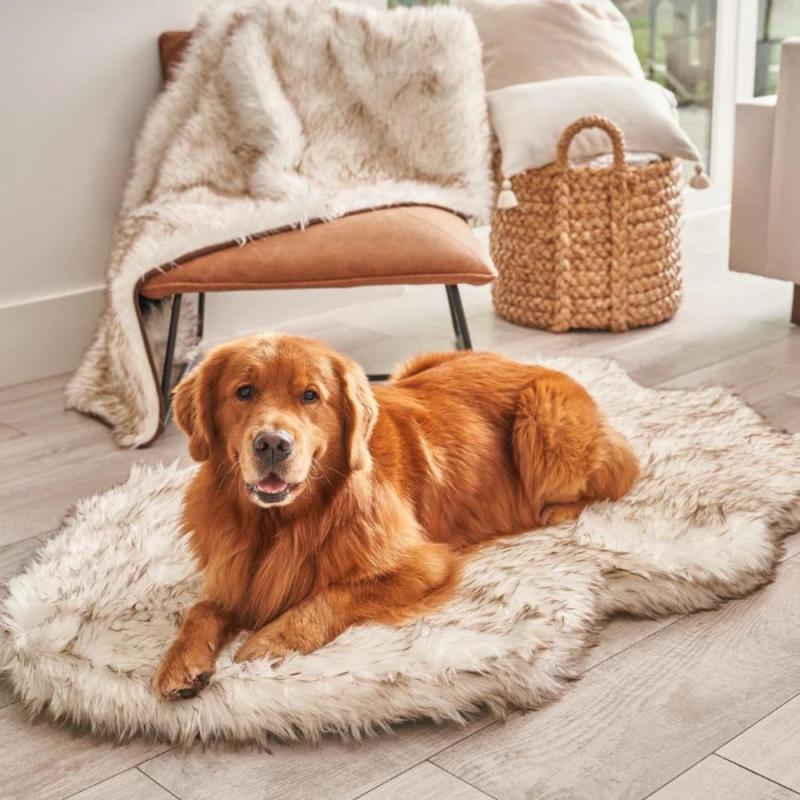 Beds |   Faux Fur Orthopedic Dog Bed – Curve White With Brown Accents (Clearance) Beds Beds