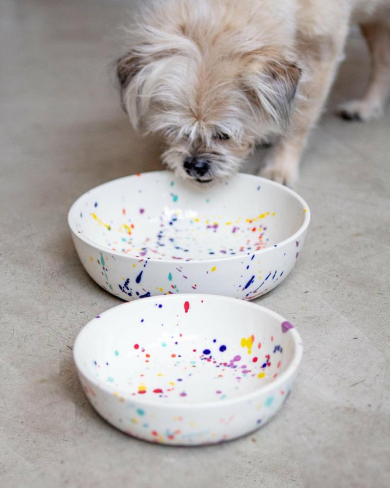 Bowls + Placemats |   Ceramic Pet Bowl In Confetti (Made In The Usa) Bowls + Placemats Bowls + Placemats