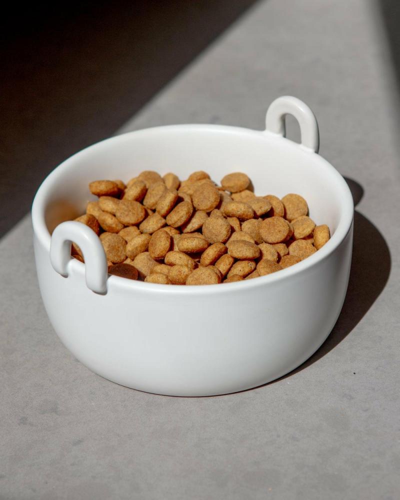 Bowls + Placemats |   Handle It Ceramic Dog Bowl In White (Final Sale) Bowls + Placemats Bowls + Placemats