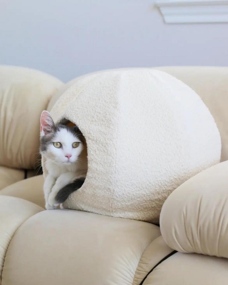 Cat |   Bouclé Modular Moon Cat Cave Bed Cat Cat