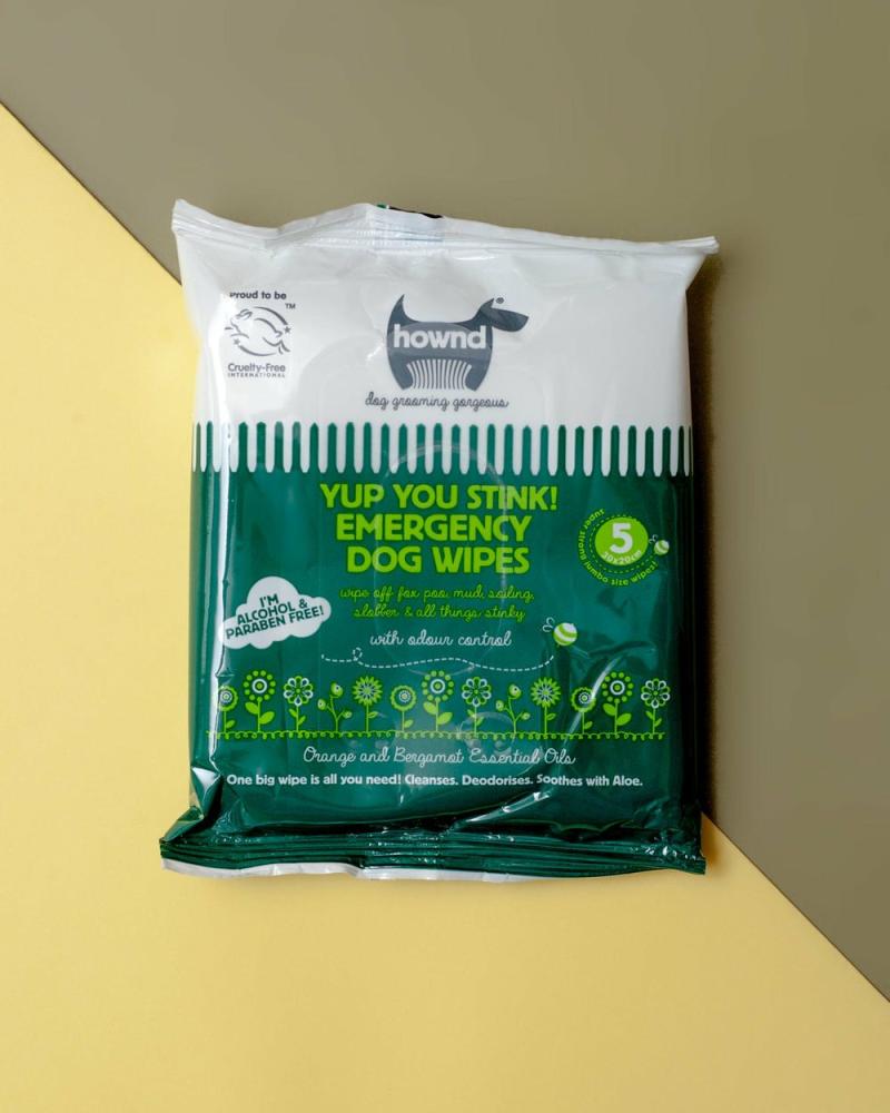 Clean |   Yup, You Stink! Antibacterial Travel Dog Wipes Clean Clean