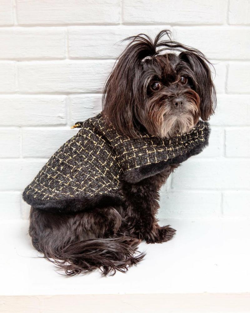 Coats, Jackets + Outwear |   Chantel Tweed Dog Coat In Black (Final Sale) Coats, Jackets + Outwear Coats, Jackets + Outwear