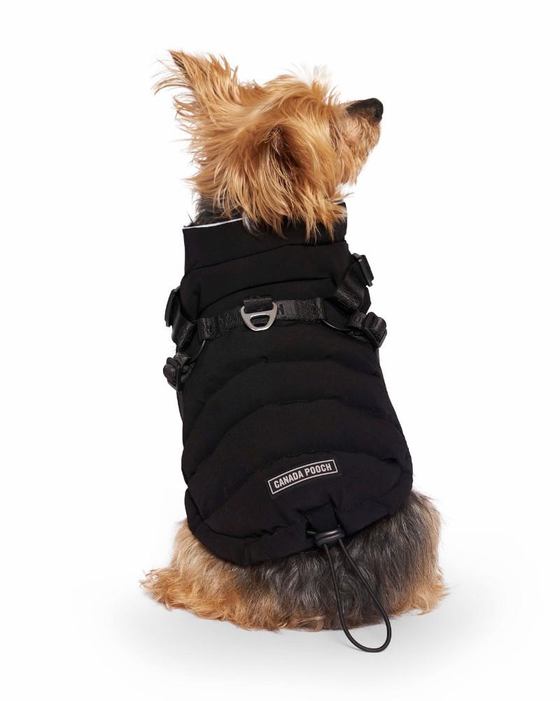 Coats, Jackets + Outwear |   Harness Puffer Dog Jacket In Black (Final Sale) Coats, Jackets + Outwear Coats, Jackets + Outwear