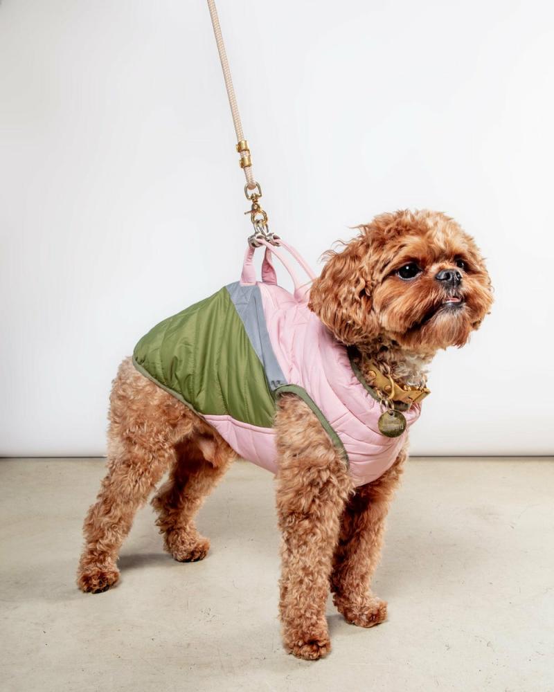 Coats, Jackets + Outwear |   Mountaineer Waterproof Dog Harness Jacket In Peach (Final Sale) Coats, Jackets + Outwear Coats, Jackets + Outwear