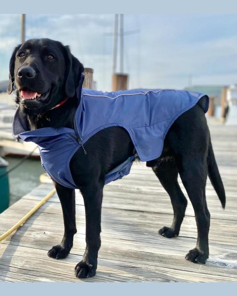 Coats, Jackets + Outwear |   Narragansett Bay Dog Sailing Jacket Wear Coats, Jackets + Outwear