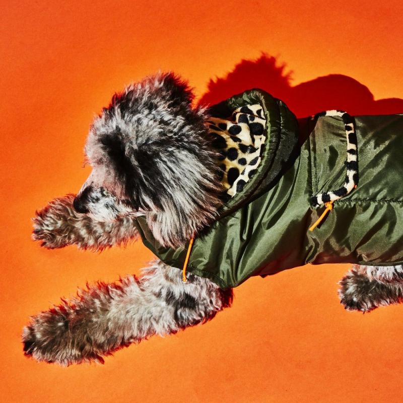 Coats, Jackets + Outwear |   Olive W/ Animal Print Lining Puffer Dog Coat (Final Sale) Coats, Jackets + Outwear Coats, Jackets + Outwear