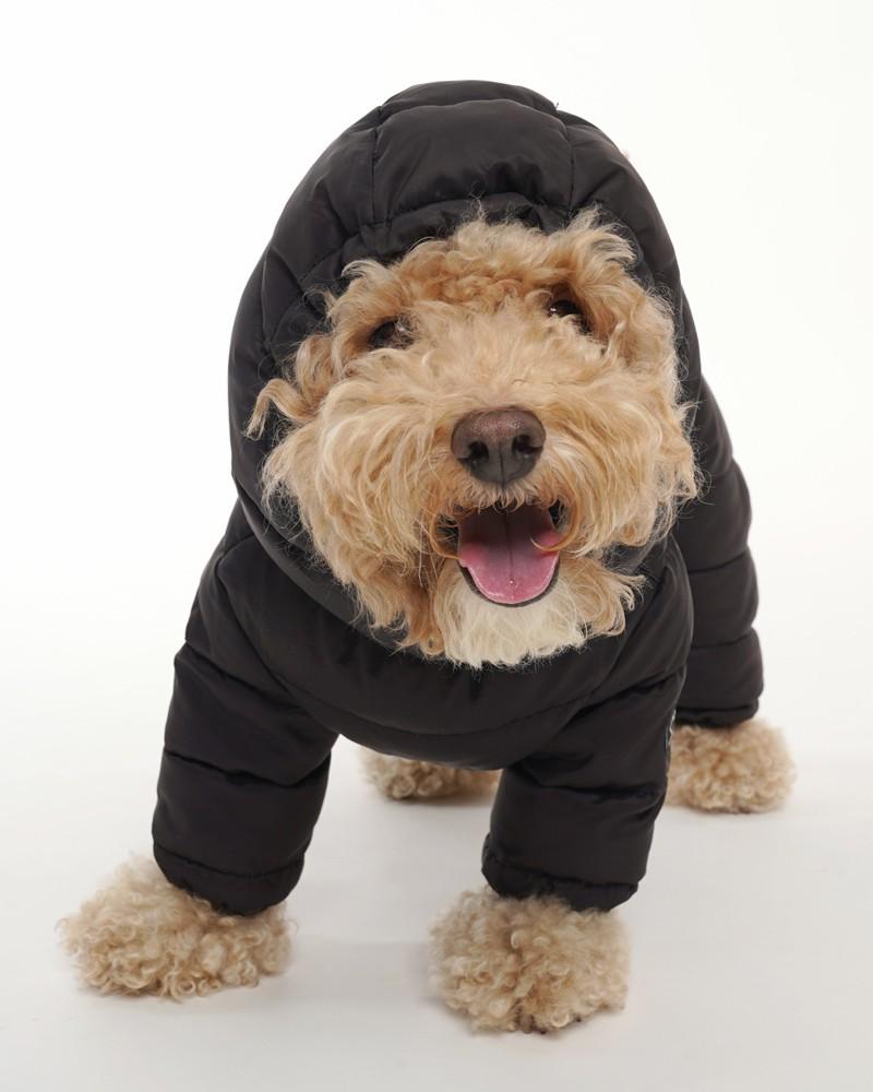 Coats, Jackets + Outwear |   Padded Winter Coverall For Dogs W/ Hood Coats, Jackets + Outwear Coats, Jackets + Outwear