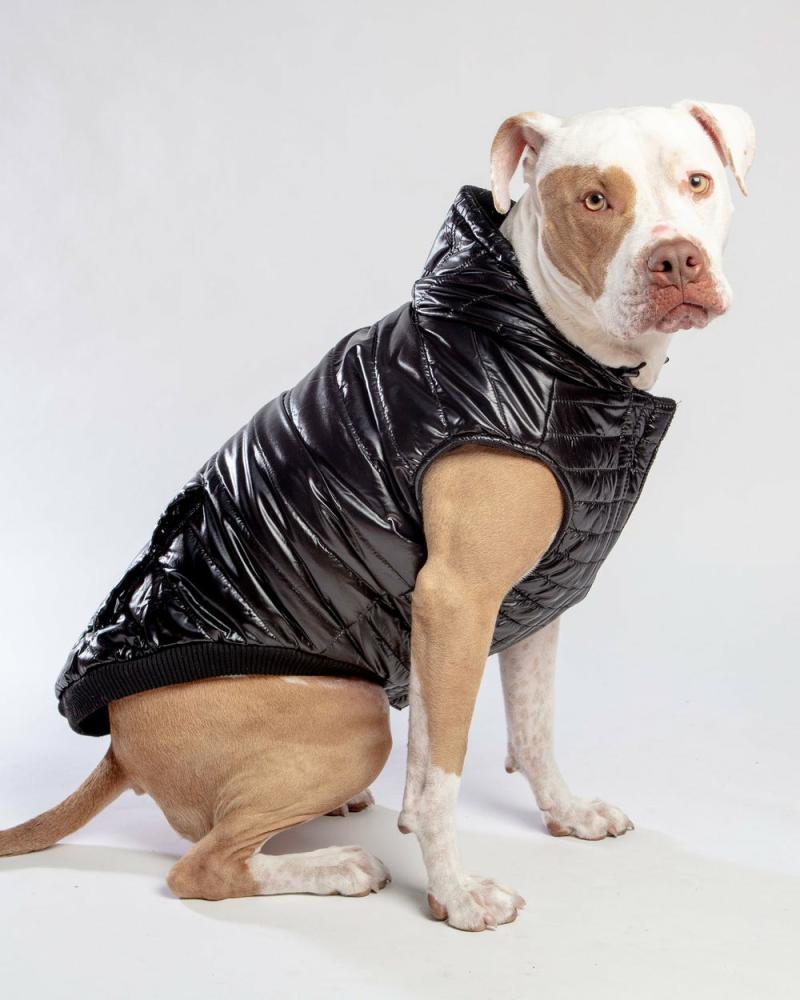 Coats, Jackets + Outwear |   Shiny Puffer Dog Coat In Black (Final Sale) Coats, Jackets + Outwear Coats, Jackets + Outwear