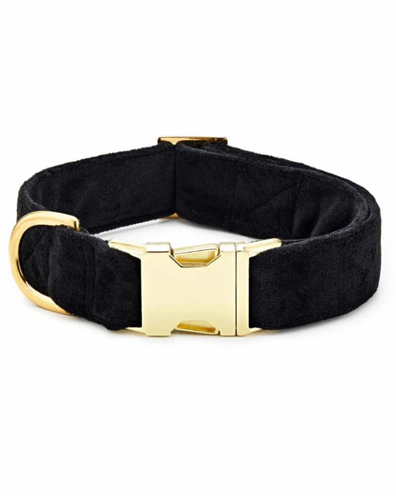 Collars |   Black Velvet Dog Collar (Made In The Usa) (Final Sale) Collars Collars