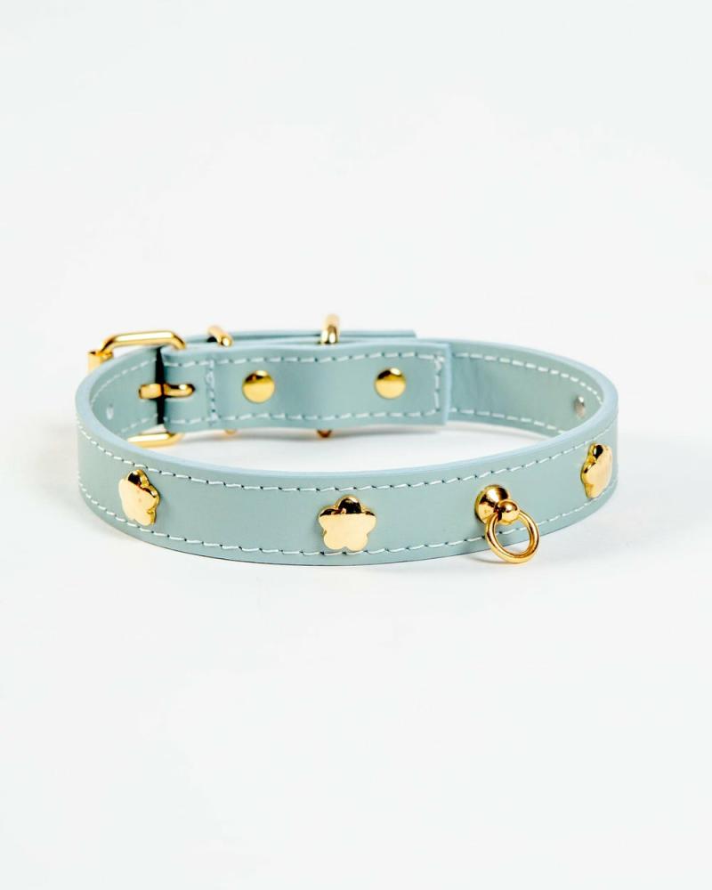 Collars |   Sky Blue Nara Leather Dog Collar With Brass Flowers (Made In Italy) Walk Collars