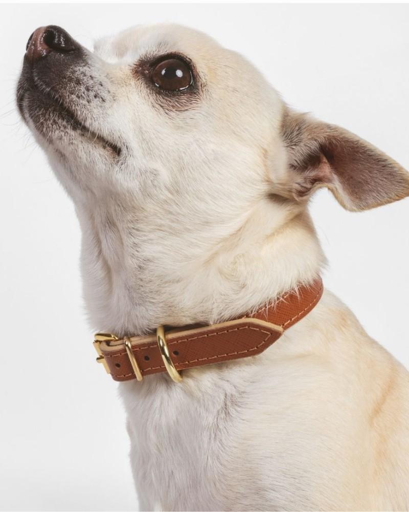 Collars |   Small Dog Collar In Cognac Leather (Made In Italy) (Final Sale) Collars Collars