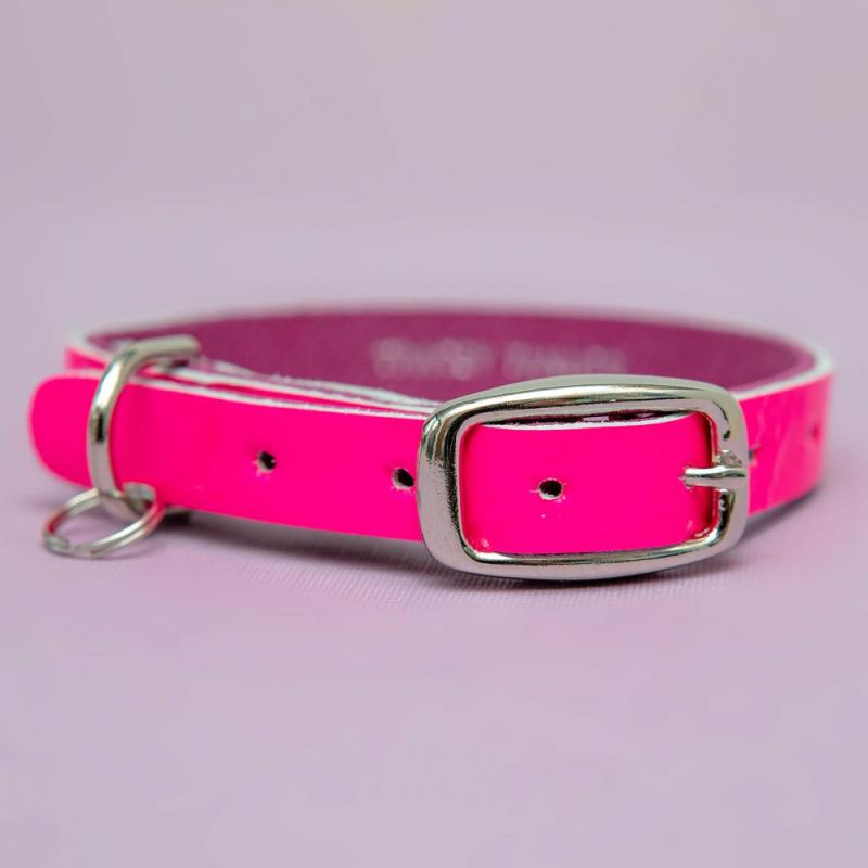 Collars |   The Cleo Leather Tag Collar In Neon Pink Patent (Dog & Co. Exclusive) Collars Collars