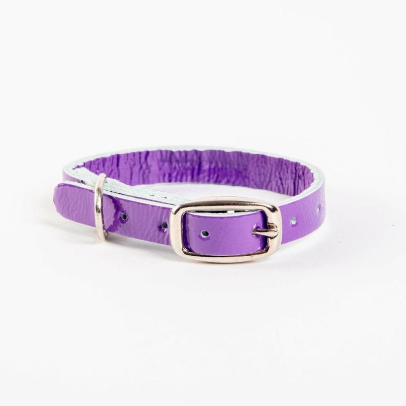 Collars |   The Cleo Leather Tag Collar In Purple Patent (Dog & Co. Exclusive) Collars Collars