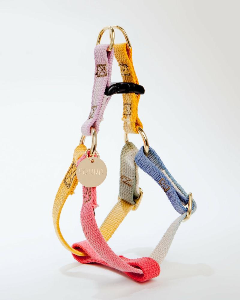 Harnesses |   Cotton Webbing Dog Harness In Henri (Made In The Usa) Harnesses Harnesses