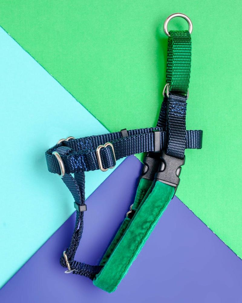 Harnesses |   Freedom No-Pull Harness In Navy & Kelly Green (Made In The Usa) Harnesses Harnesses