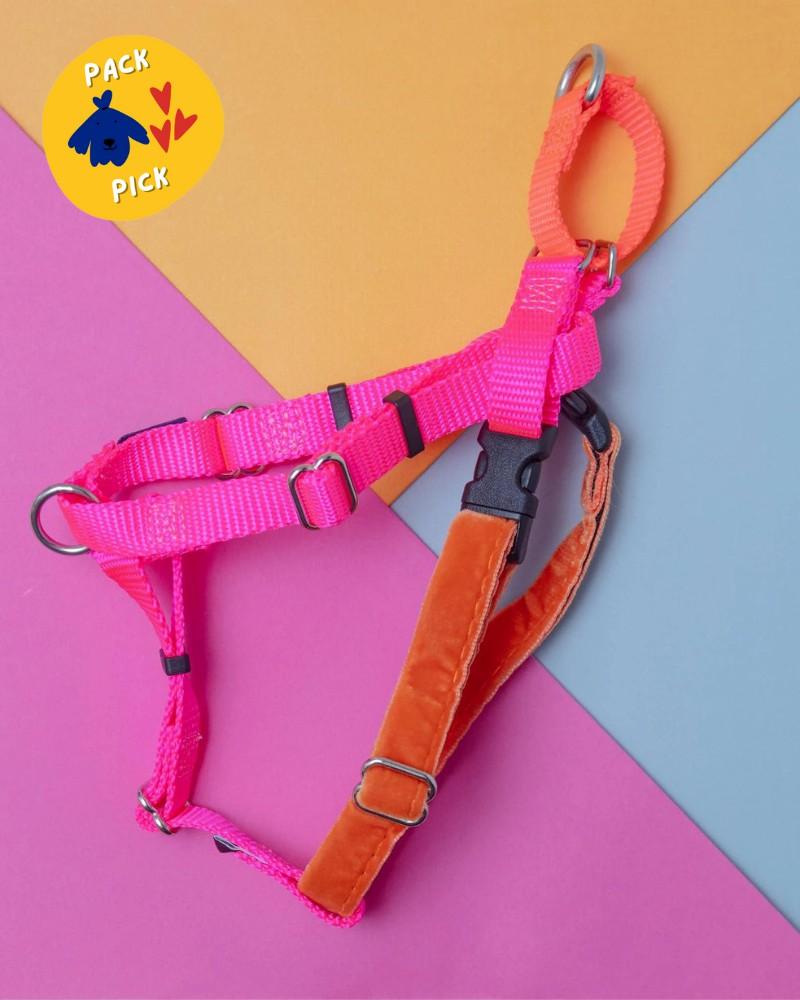 Harnesses |   Freedom No-Pull Harness In Neon Pink & Orange (Made In The Usa) Harnesses Harnesses