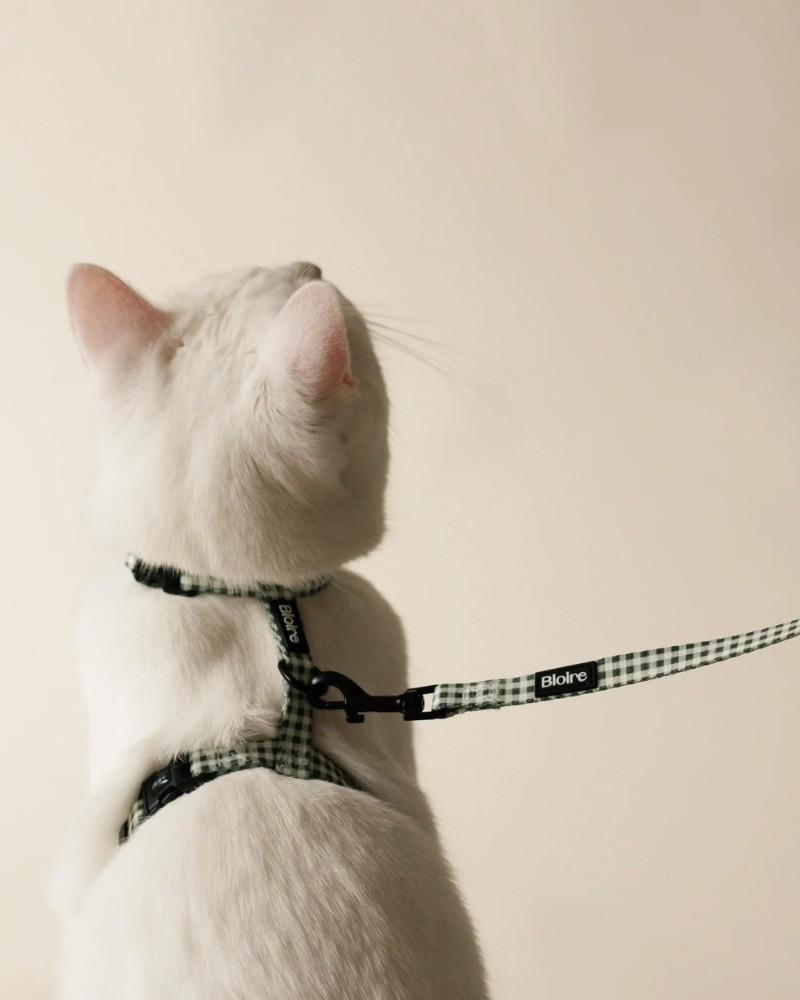 Harnesses |   Green Plaid Matching Cat Harness & Leash Set Harnesses Harnesses