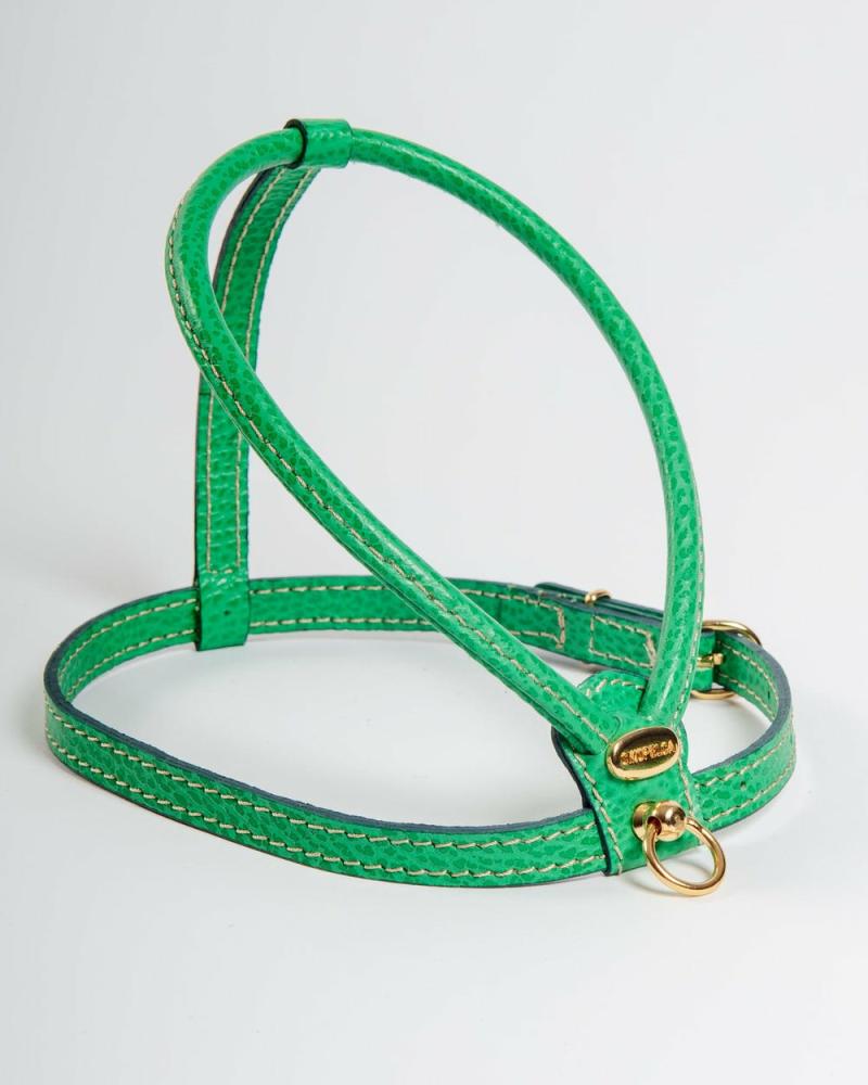 Harnesses |   Italian Leather Dog Harness In Green Harnesses Harnesses