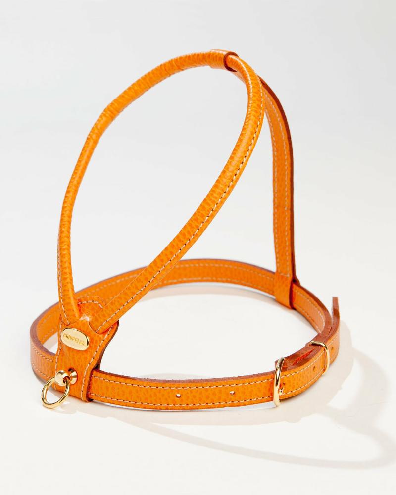 Harnesses |   Italian Leather Harness In Orange Harnesses Harnesses