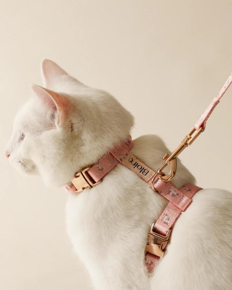 Harnesses |   Meadow Matching Cat Harness & Leash Set Harnesses Harnesses