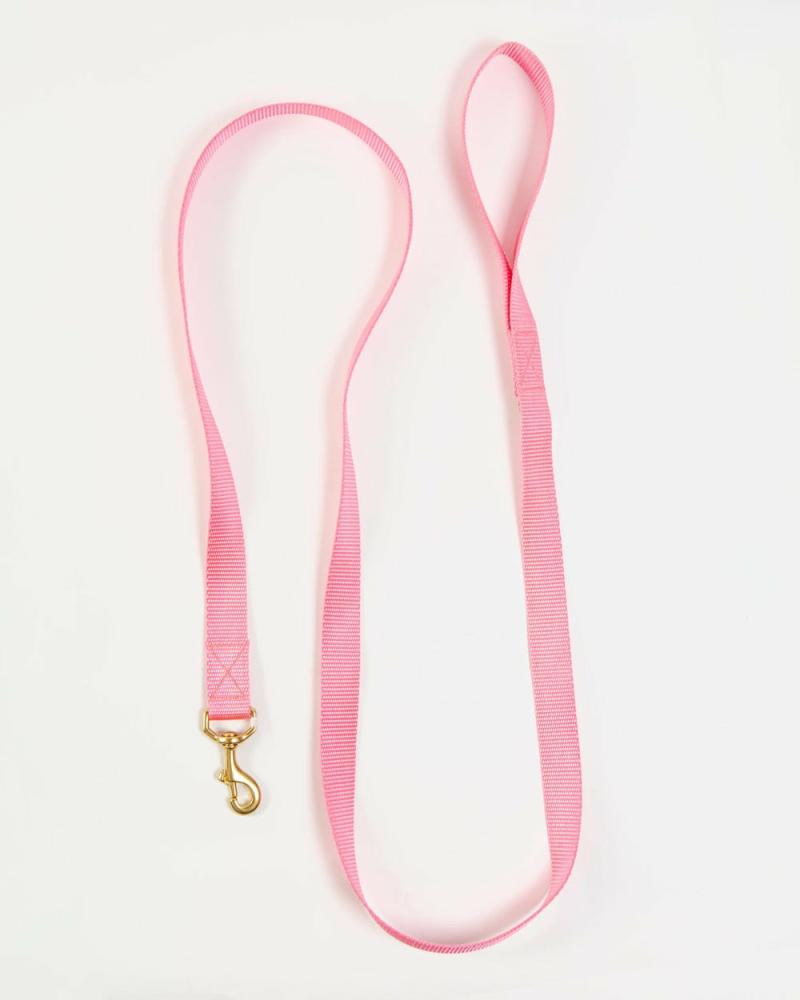 Leads |   Basic Nylon Dog Leash In Pink (Made In The Usa) Leads Leads