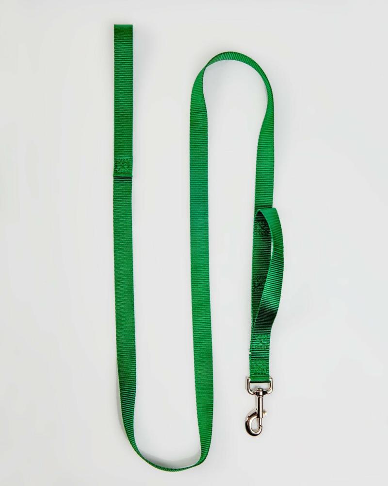 Leads |   Nylon Dog Leash In Hunter Green (Made In The Usa) Leads Leads