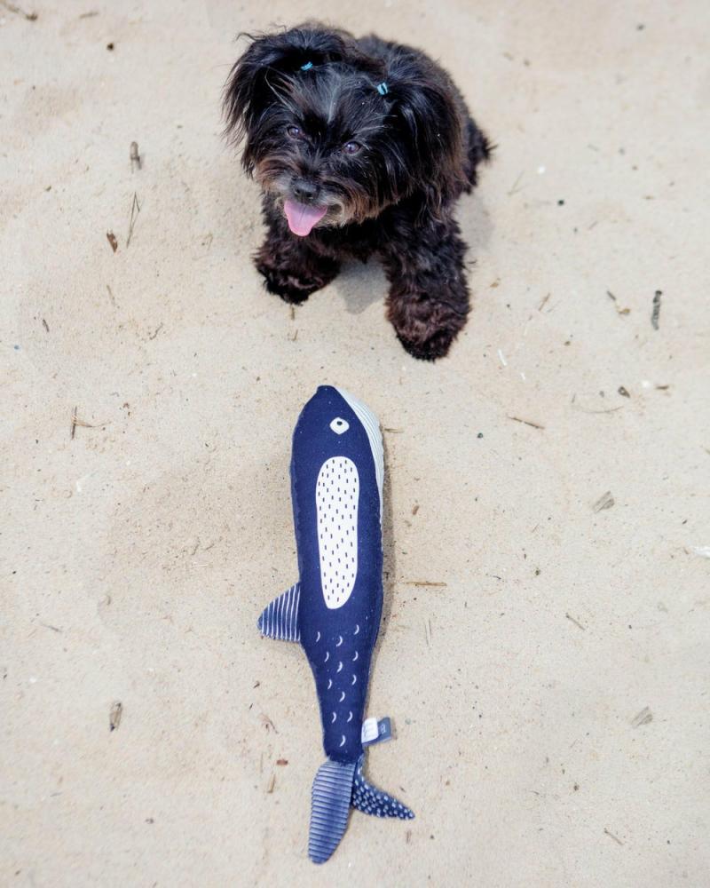 Plush + Squeaky Toys |   There She Blows Canvas Whale Dog Toy Play Plush + Squeaky Toys