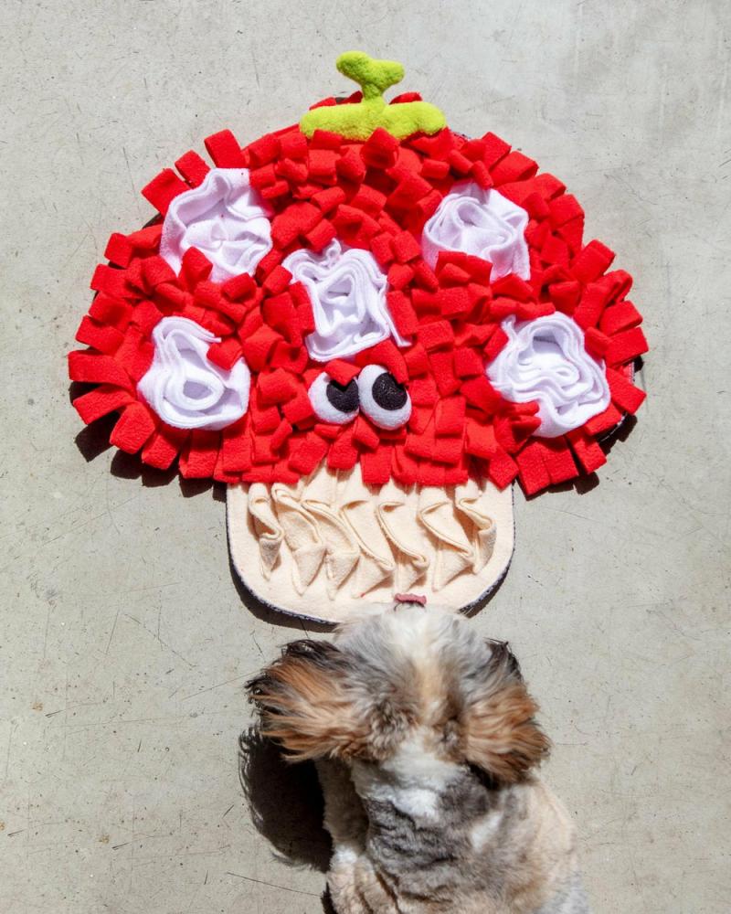 Puzzles, Games + Treat Toys |   Mushroom Veggie Snuffle Mat Dog Toy Play Puzzles, Games + Treat Toys