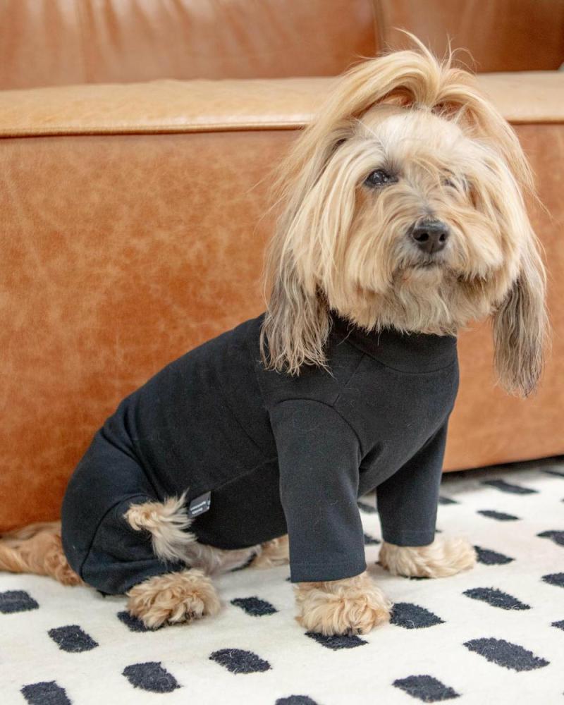 T-Shirts, Sweaters, Fleeces |   Body Warm Onesie In Black (Dog & Co. Exclusive) T-Shirts, Sweaters, Fleeces T-Shirts, Sweaters, Fleeces