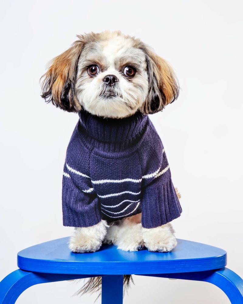 T-Shirts, Sweaters, Fleeces |   Mariner Stripe Dog Sweater T-Shirts, Sweaters, Fleeces T-Shirts, Sweaters, Fleeces