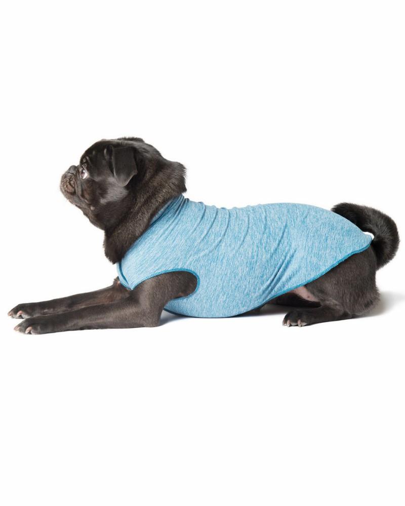 T-Shirts, Sweaters, Fleeces |   Sun Shield Dog Tee In Ocean Blue (Made In The Usa) T-Shirts, Sweaters, Fleeces T-Shirts, Sweaters, Fleeces