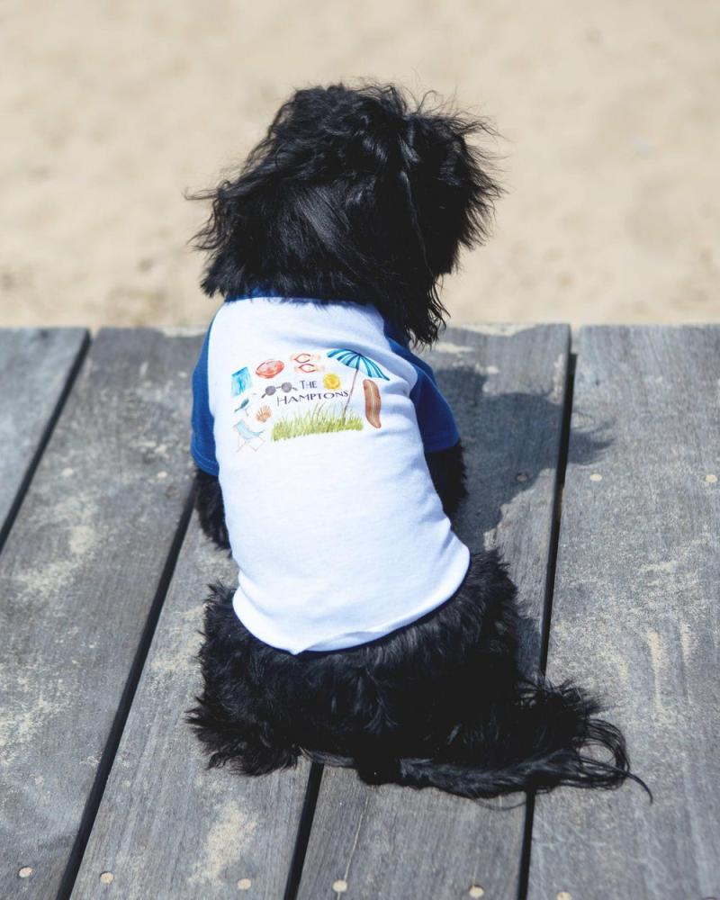 T-Shirts, Sweaters, Fleeces |   The Hamptons Summer Dog T-Shirt In Surf Blue (Dog & Co. Exclusive) T-Shirts, Sweaters, Fleeces T-Shirts, Sweaters, Fleeces