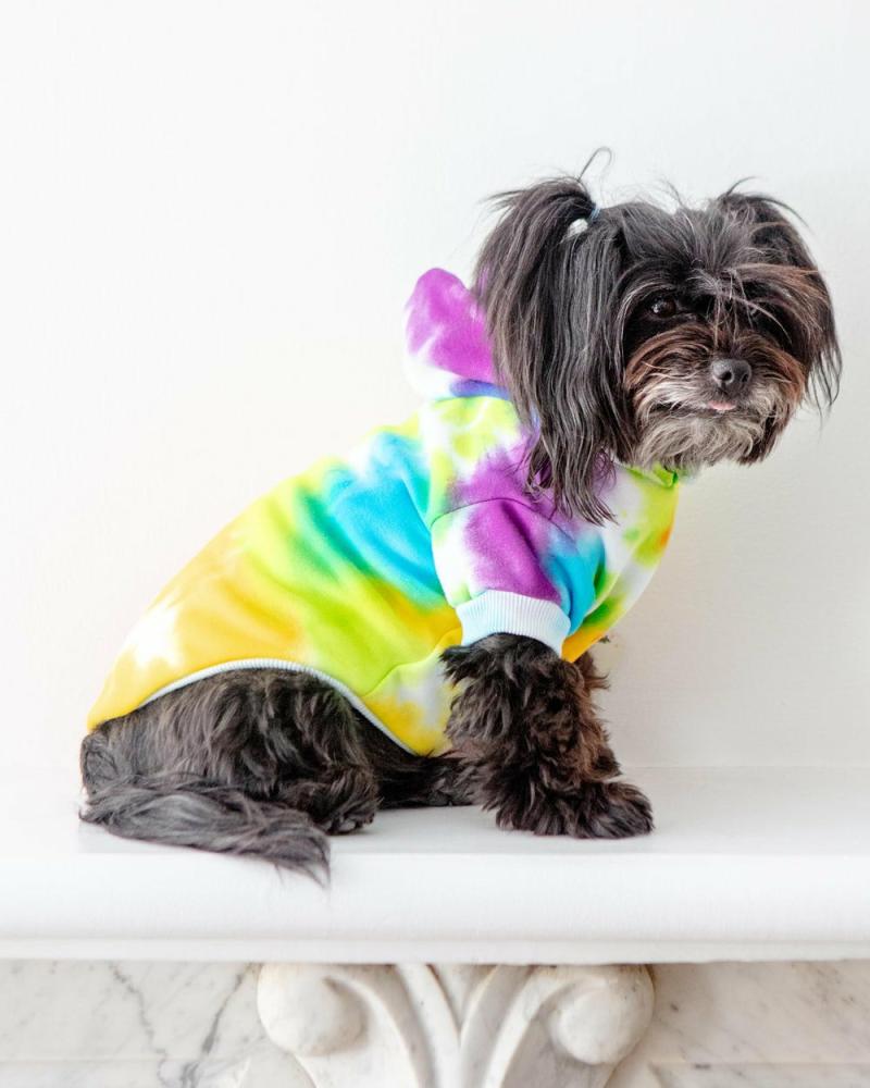 T-Shirts, Sweaters, Fleeces |   Tie Dye Dog Hoodie In Rainbow T-Shirts, Sweaters, Fleeces T-Shirts, Sweaters, Fleeces