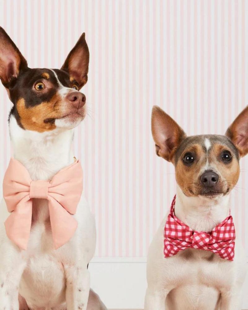 Accessories |   Raspberry Gingham Dog Bow Tie (Made In The Usa) Accessories Accessories