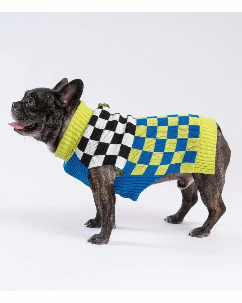 T-Shirts, Sweaters, Fleeces |   Checkerboard Dog Sweater In Lime & Cobalt (Final Sale) T-Shirts, Sweaters, Fleeces T-Shirts, Sweaters, Fleeces