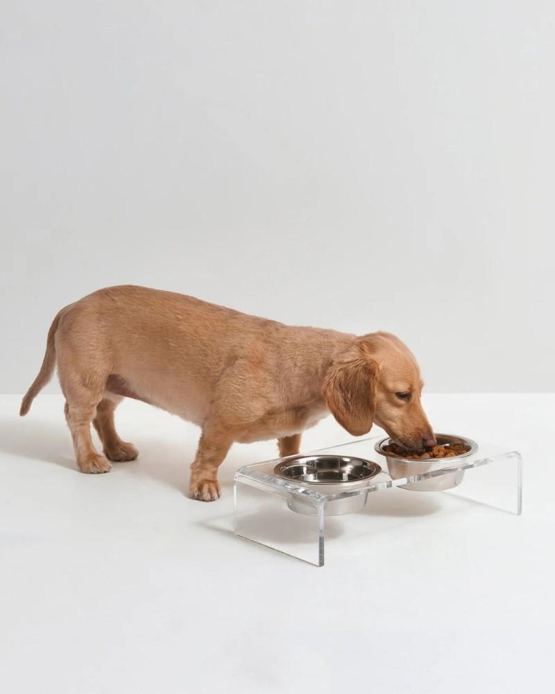 Bowls + Placemats |   Clear Lucite Double Bowl Pet Feeder (Made In The Usa) (Direct-Ship) Bowls + Placemats Bowls + Placemats